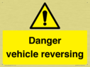 danger-vehicles-reversing~